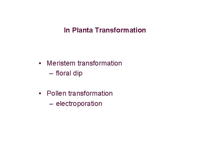 In Planta Transformation • Meristem transformation – floral dip • Pollen transformation – electroporation In Planta Transformation • Meristem transformation – floral dip • Pollen transformation – electroporation