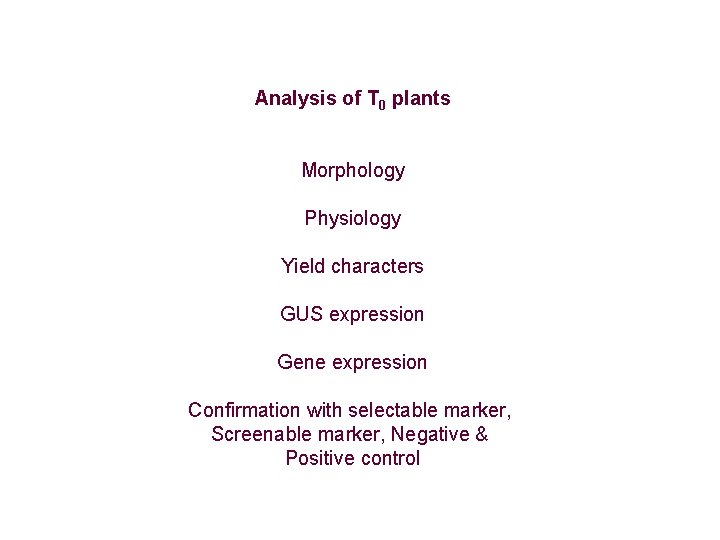 Analysis of T 0 plants Morphology Physiology Yield characters GUS expression Gene expression Confirmation Analysis of T 0 plants Morphology Physiology Yield characters GUS expression Gene expression Confirmation