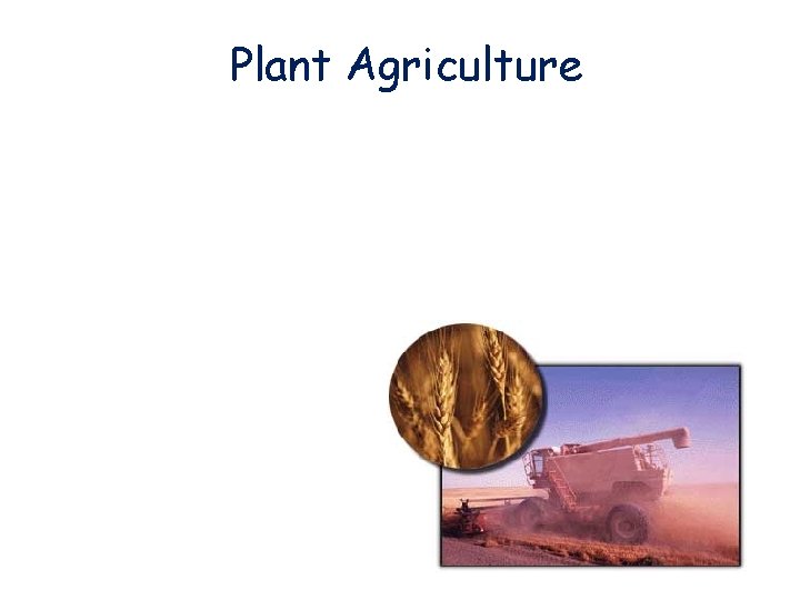 Plant Agriculture Plant Agriculture