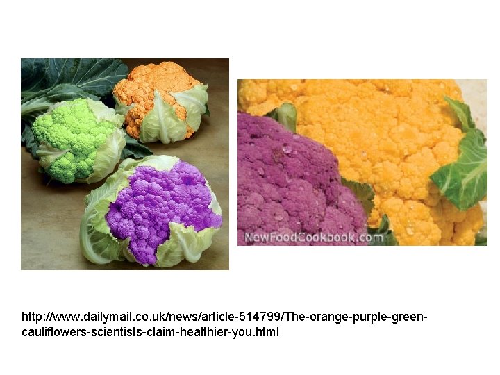 http: //www. dailymail. co. uk/news/article-514799/The-orange-purple-greencauliflowers-scientists-claim-healthier-you. html http: //www. dailymail. co. uk/news/article-514799/The-orange-purple-greencauliflowers-scientists-claim-healthier-you. html