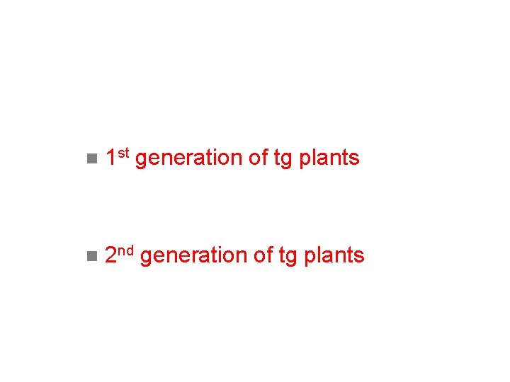 n 1 st generation of tg plants n 2 nd generation of tg plants n 1 st generation of tg plants n 2 nd generation of tg plants