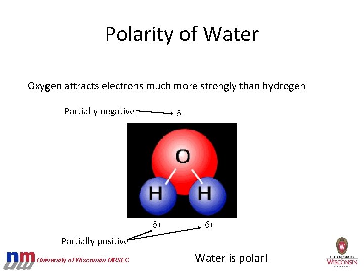 Polarity of Water Oxygen attracts electrons much more strongly than hydrogen Partially negative δ-