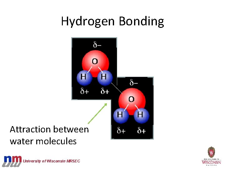 Hydrogen Bonding Attraction between water molecules University of Wisconsin MRSEC 