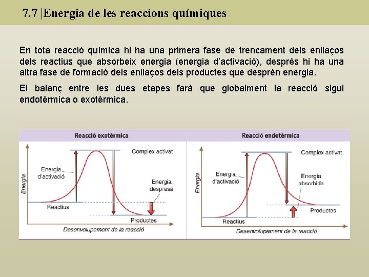 7. 7 |Energia de les reaccions químiques En tota reacció química hi ha una