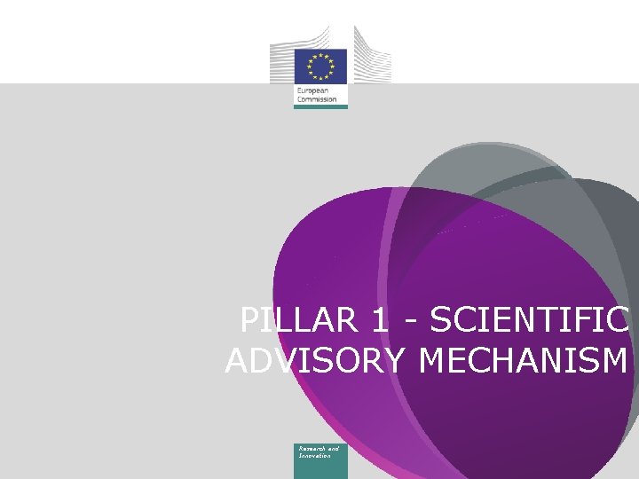PILLAR 1 - SCIENTIFIC ADVISORY MECHANISM Research and Innovation 