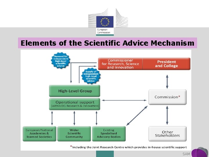 Elements of the Scientific Advice Mechanism Research and Innovation SAM 