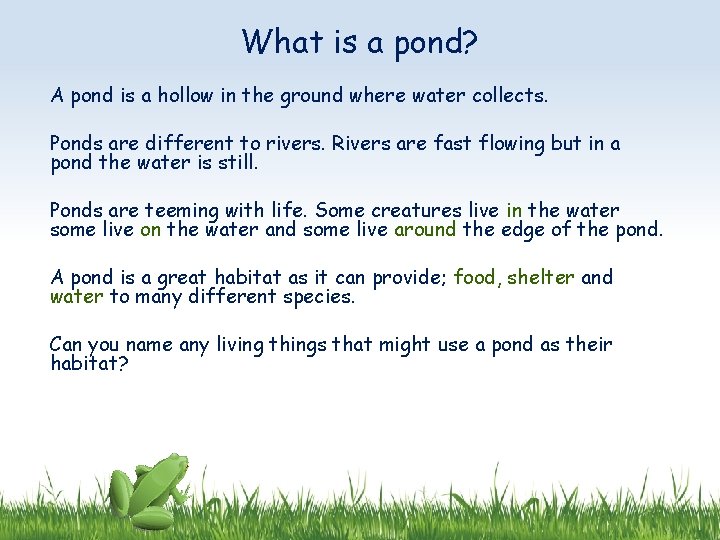 What is a pond? A pond is a hollow in the ground where water
