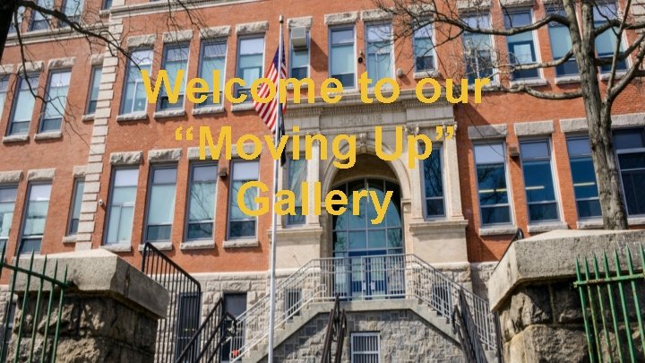 Welcome to our “Moving Up” Gallery 