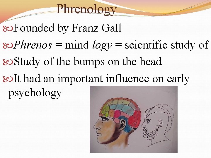 Phrenology Founded by Franz Gall Phrenos = mind logy = scientific study of Study