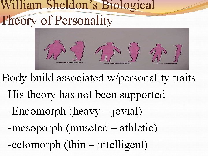 William Sheldon’s Biological Theory of Personality Body build associated w/personality traits His theory has