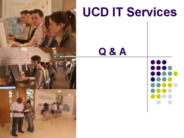 UCD IT Services Q&A 