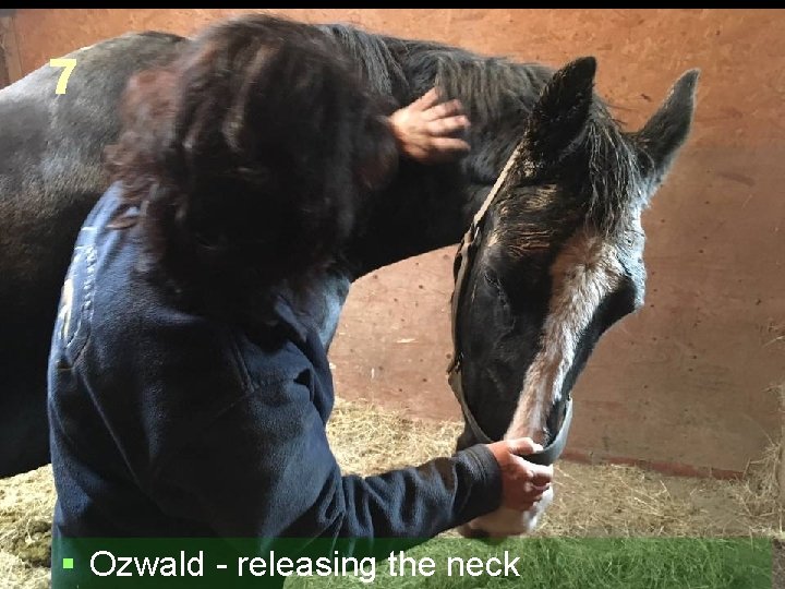 7 § Ozwald - releasing the neck 