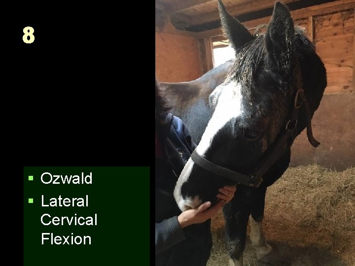 8 § Ozwald § Lateral Cervical Flexion 