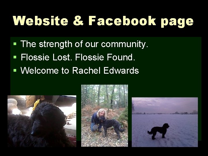 Website & Facebook page § The strength of our community. § Flossie Lost. Flossie