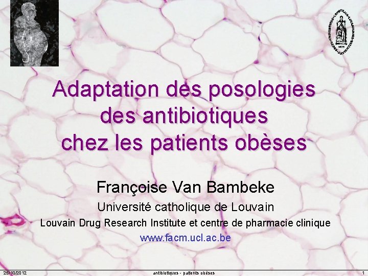 Adaptation des posologies des antibiotiques chez les patients obèses Françoise Van Bambeke Université catholique