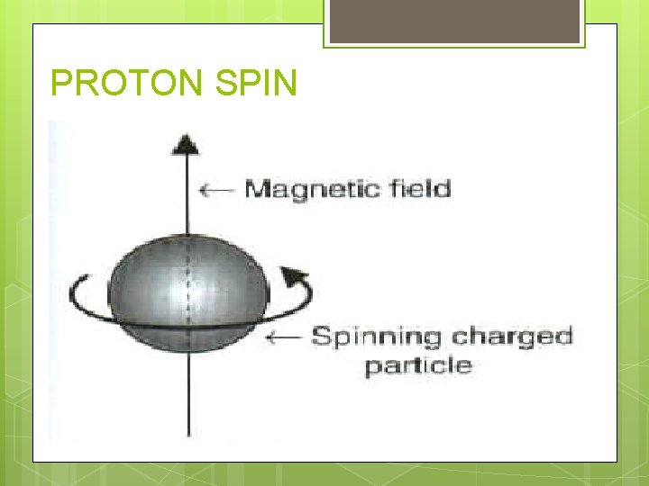 PROTON SPIN 