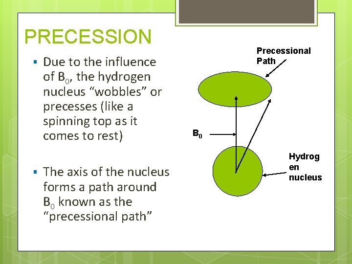PRECESSION § § Due to the influence of B 0, the hydrogen nucleus “wobbles”