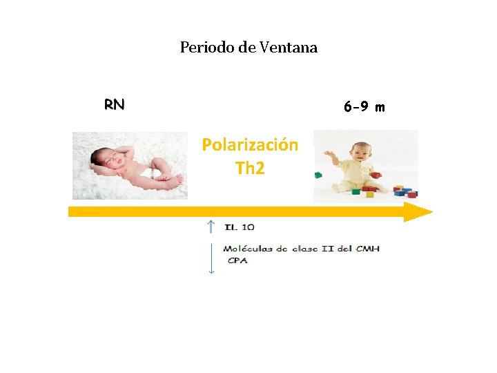 Periodo de Ventana 6 -9 m Polarización Th 2 