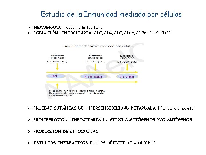 Estudio de la Inmunidad mediada por células Ø HEMOGRAMA: recuento linfocitario Ø POBLACIÓN LINFOCITARIA: