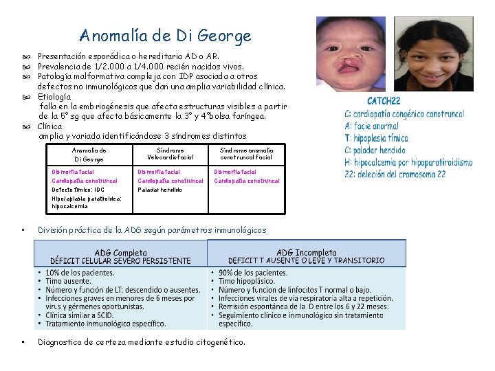 Anomalía de Di George Presentación esporádica o hereditaria AD o AR. Prevalencia de 1/2.