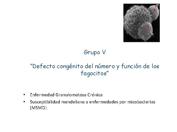 Grupo V “Defecto congénito del número y función de los fagocitos” • Enfermedad Granulomatosa