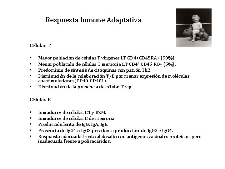 Respuesta Inmune Adaptativa Células T • • • Mayor población de células T vírgenes