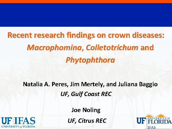 Recent research findings on crown diseases: Macrophomina, Colletotrichum and Phytophthora Natalia A. Peres, Jim