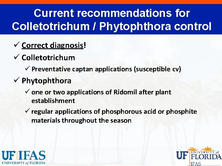 Current recommendations for Colletotrichum / Phytophthora control ü Correct diagnosis! ü Colletotrichum ü Preventative