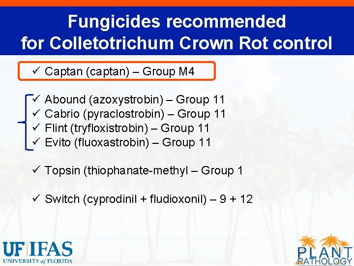 Fungicides recommended for Colletotrichum Crown Rot control ü Captan (captan) – Group M 4