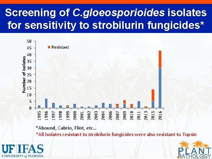 50 45 40 35 30 25 20 15 10 5 0 2016 2015 2013