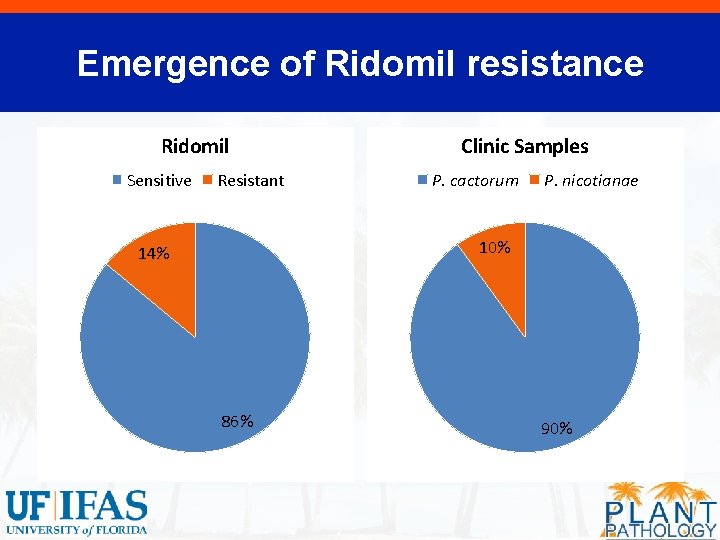 Emergence of Ridomil resistance Ridomil Sensitive Resistant 2016 -17 FL season Clinic Samples P.