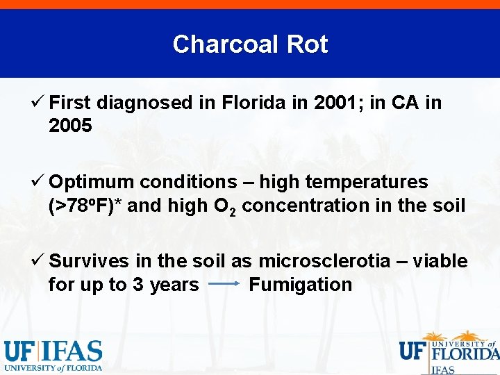 Charcoal Rot ü First diagnosed in Florida in 2001; in CA in 2005 ü