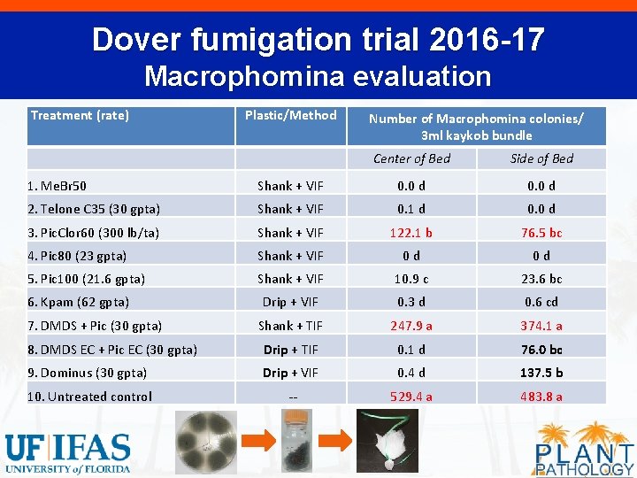 Dover fumigation trial 2016 -17 Macrophomina evaluation Treatment (rate) Plastic/Method Number of Macrophomina colonies/