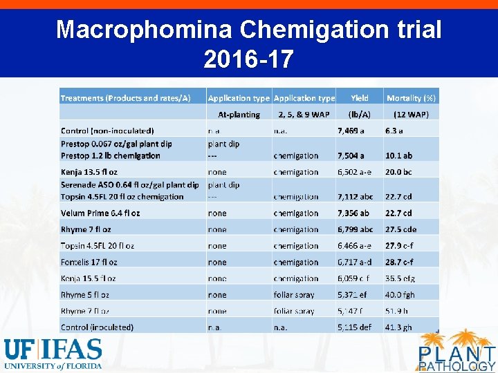 Macrophomina Chemigation trial 2016 -17 