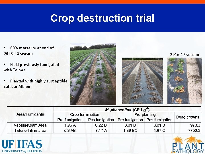 Crop destruction trial • 60% mortality at end of 2015 -16 season • Field