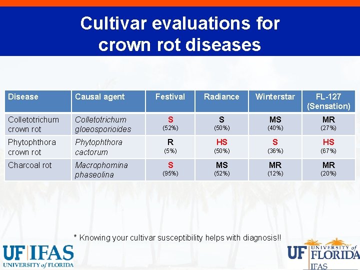 Cultivar evaluations for crown rot diseases Disease Causal agent Colletotrichum crown rot Colletotrichum gloeosporioides