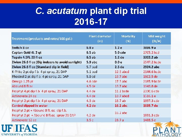 C. acutatum plant dip trial 2016 -17 