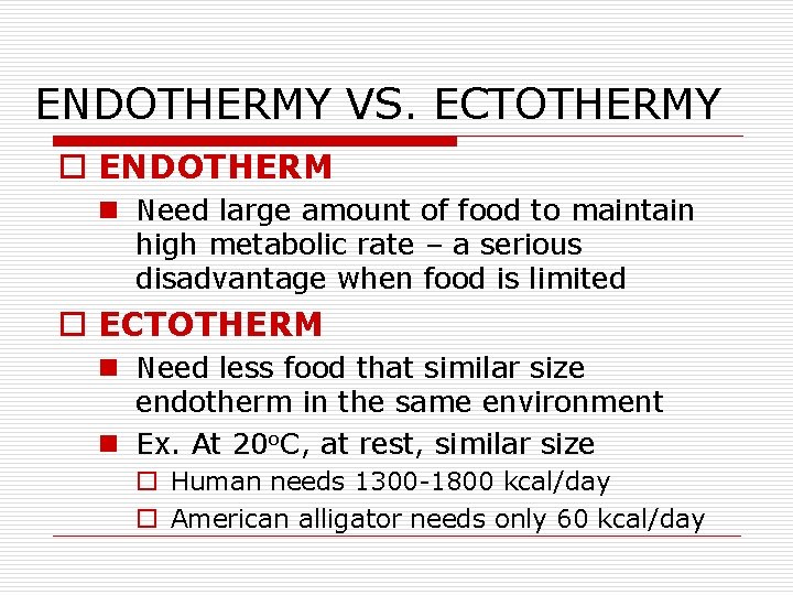 ENDOTHERMY VS. ECTOTHERMY o ENDOTHERM n Need large amount of food to maintain high