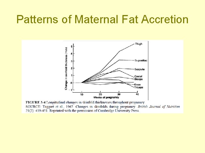 Patterns of Maternal Fat Accretion 