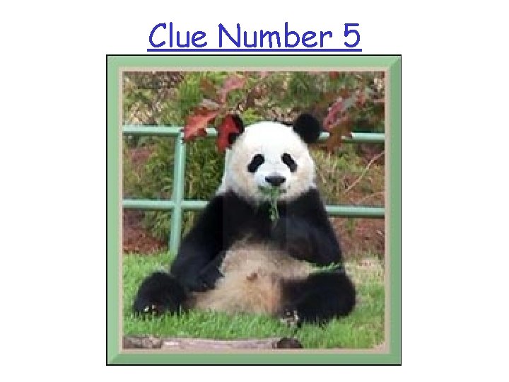 Clue Number 5 