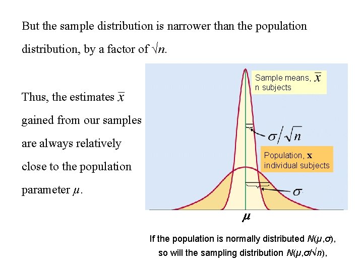 But the sample distribution is narrower than the population distribution, by a factor of