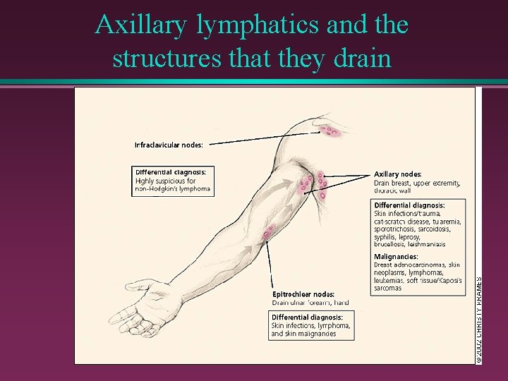 Axillary lymphatics and the structures that they drain 