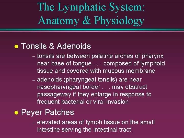 The Lymphatic System: Anatomy & Physiology l Tonsils & Adenoids – – l tonsils