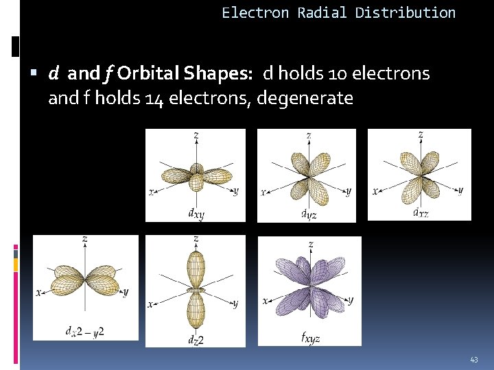 Electron Radial Distribution d and f Orbital Shapes: d holds 10 electrons and f