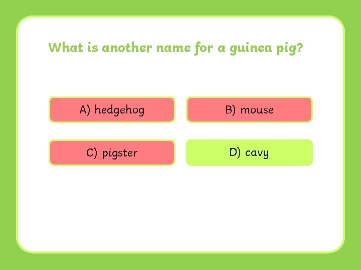 What is another name for a guinea pig? A) hedgehog B) mouse C) pigster