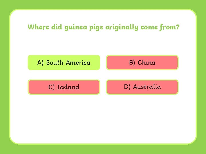 Where did guinea pigs originally come from? A) South America B) China C) Iceland