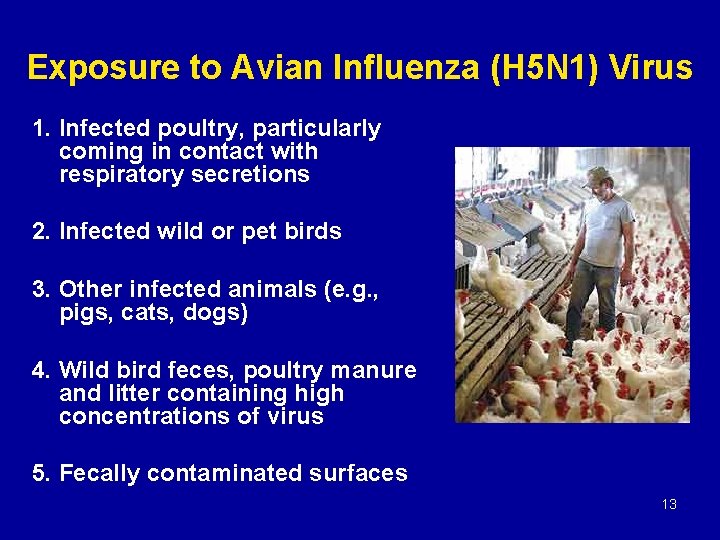 Exposure to Avian Influenza (H 5 N 1) Virus 1. Infected poultry, particularly coming