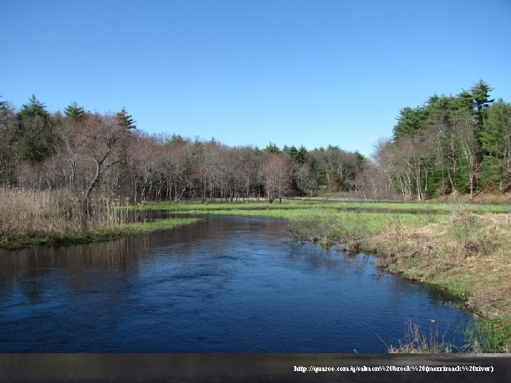 http: //quazoo. com/q/salmon%20 brook%20(merrimack%20 river) 