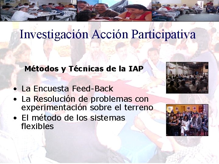 Investigación Acción Participativa Métodos y Técnicas de la IAP • La Encuesta Feed-Back •
