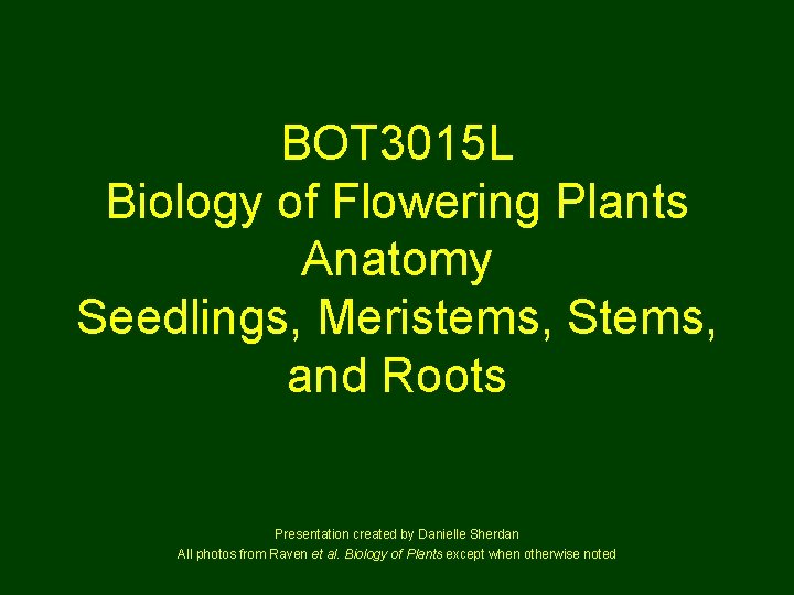 BOT 3015 L Biology of Flowering Plants Anatomy Seedlings, Meristems, Stems, and Roots Presentation